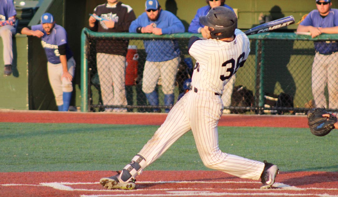 Falcons Baseball Makes It Six In A Row With A Sweep Over Pine Manor