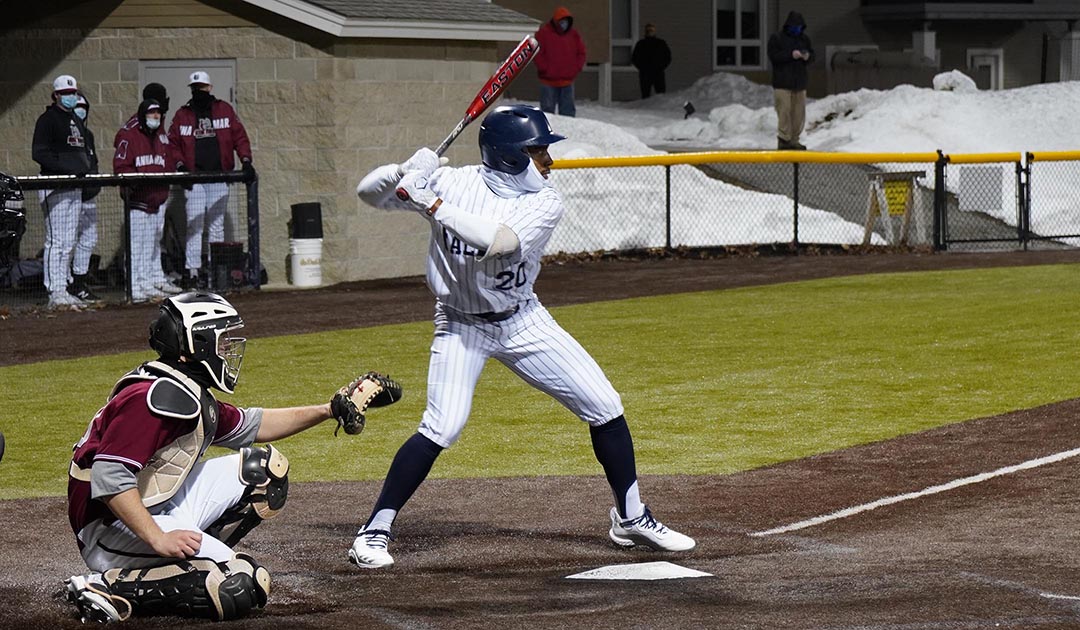Baseball: Perez' walk-off double lifts Falcons past Lancers