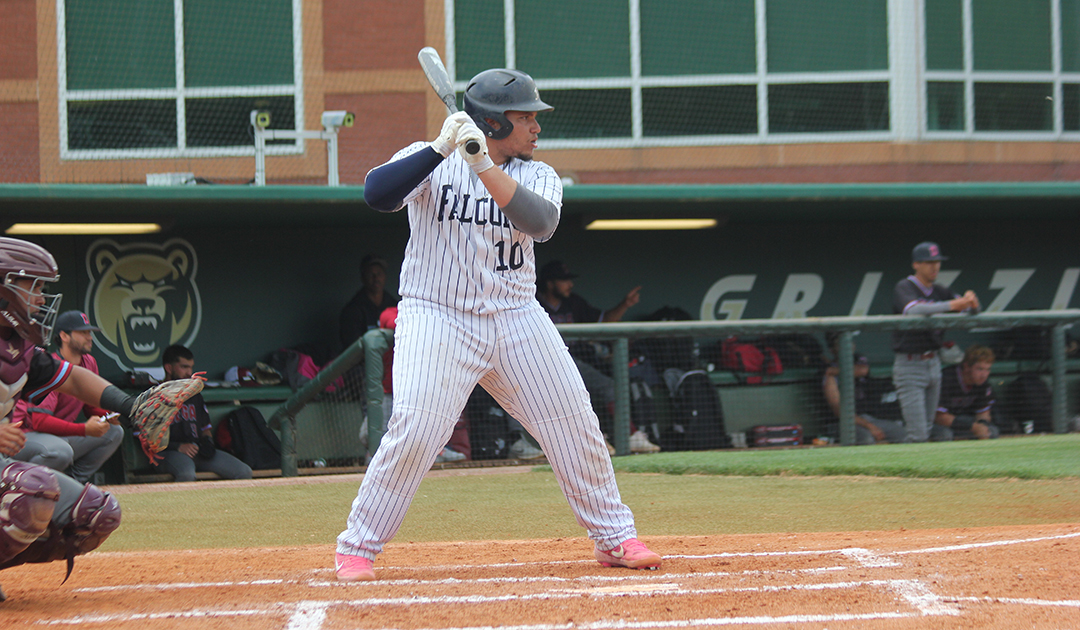Baseball: Falcons earn bid to NAIA Opening Round
