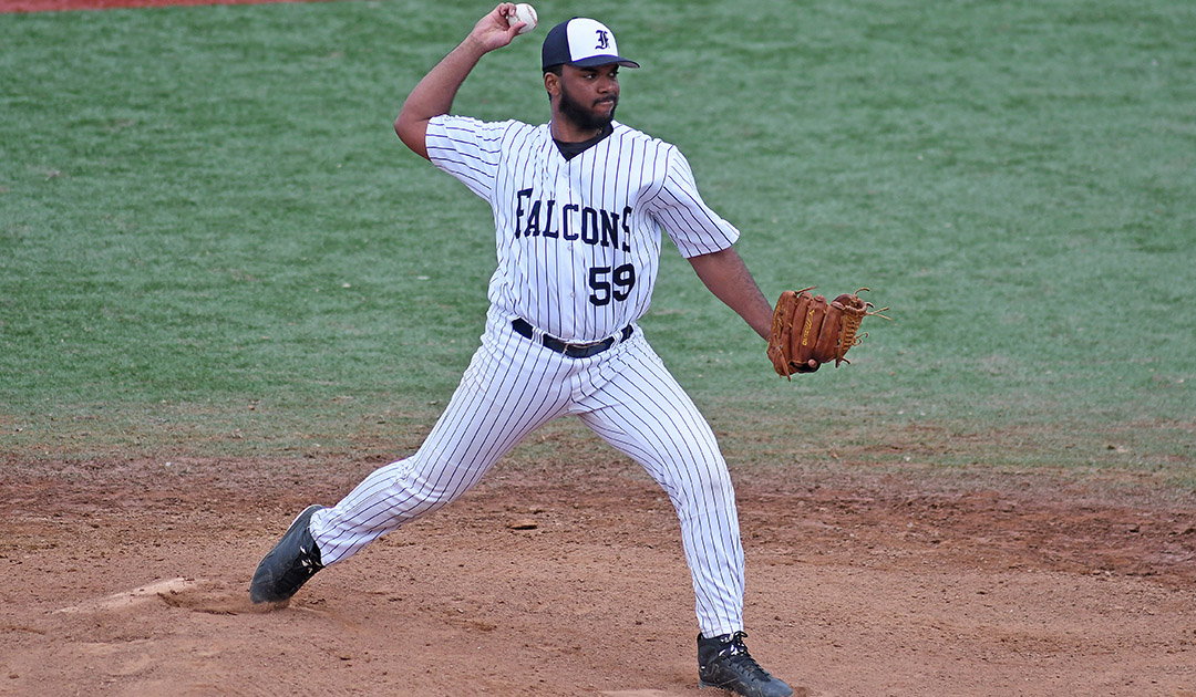 Baseball: Falcons soar past Hornets