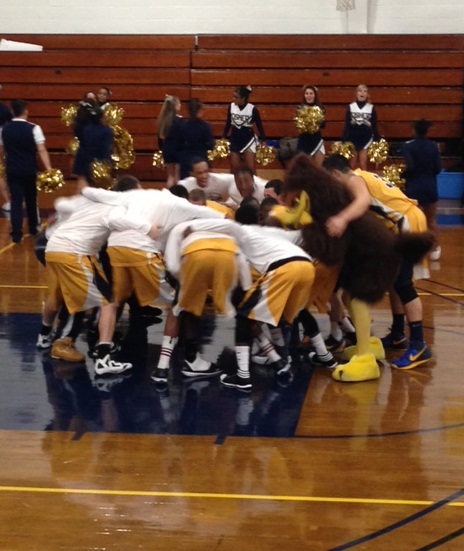 Falcons Fall to 4-2 with Loss to Westfield State