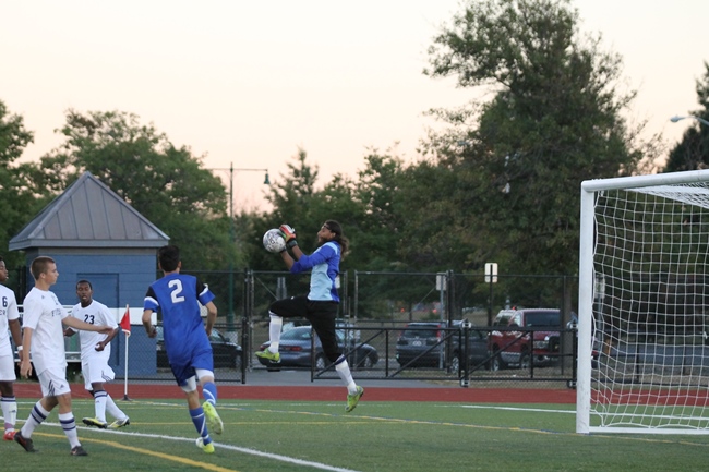 Lions Halt Falcons 5-0