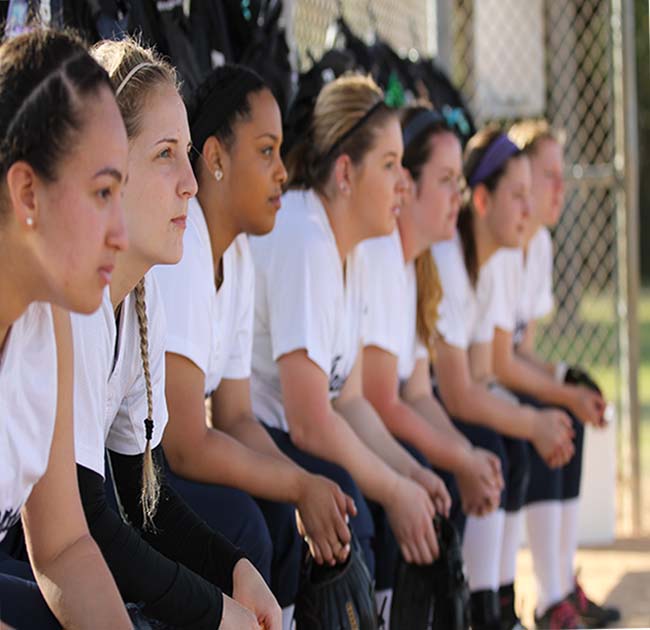 Falcons Dominate Gators in Twin Bill
