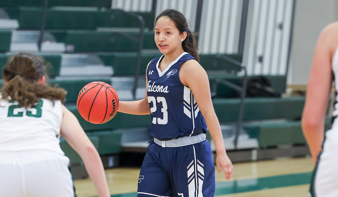 Women's Basketball: Falcons fly past New England College, 66-54